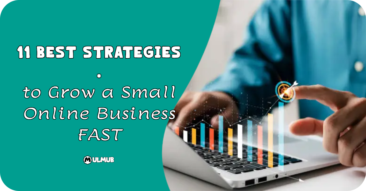 11 Best Strategies to Grow a Small Online Business FAST