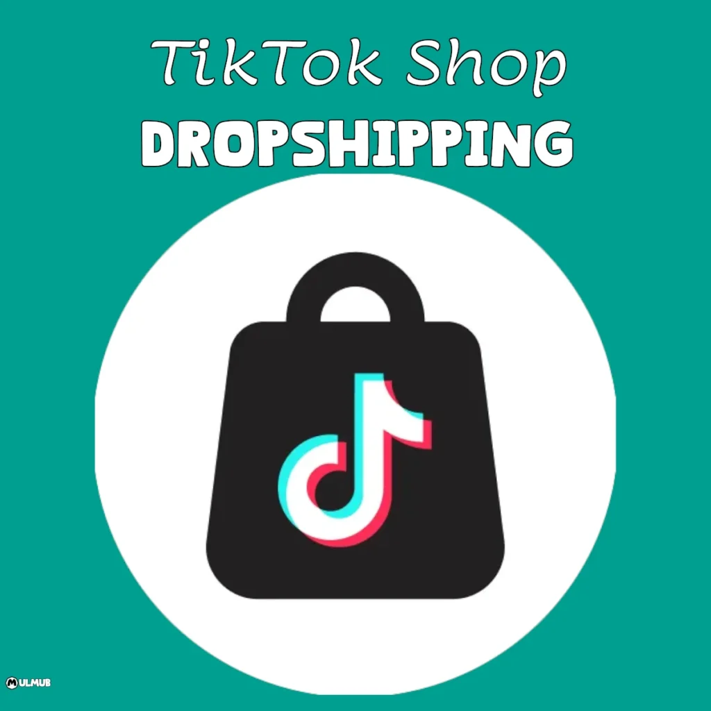 TikTok Shop Dropshipping